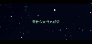 野什么大什么成语