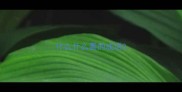 什么什么喜的成语