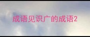 成语见识广的成语
