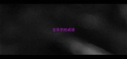 含尽字的成语
