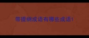 带提纲成语有哪些成语