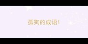 孤狗的成语