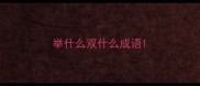 举什么双什么成语