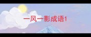 一风一影成语