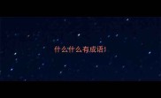 什么什么有成语