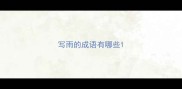 写雨的成语有哪些