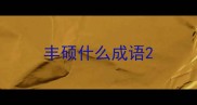 丰硕什么成语