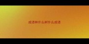 成语林什么树什么成语