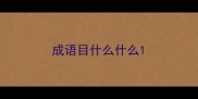 成语目什么什么