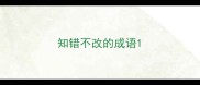 知错不改的成语