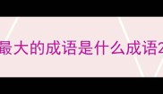 最大的成语是什么成语