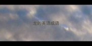 龙的英语成语