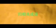 归相关成语