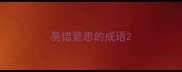 易错意思的成语