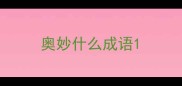 奥妙什么成语