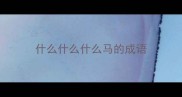 什么什么什么马的成语