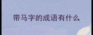 带马字的成语有什么