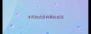 沐雨的成语有哪些成语