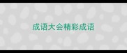 成语大会精彩成语