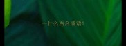一什么百合成语