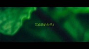 写成语的句子