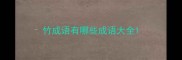竹成语有哪些成语大全
