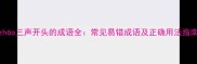 zho三声开头的成语全常见易错成语及正确用法指南