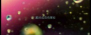 戴的成语有哪些