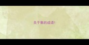 关于集的成语