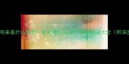 成语鸡呆是什么意思常见用法及108个相关成语大全附深度