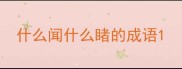什么闻什么睹的成语