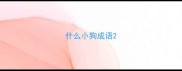 什么小狗成语