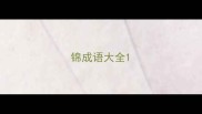 锦成语大全