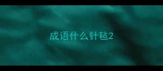 成语什么针毡