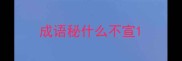 成语秘什么不宣