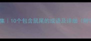 鼠尾成语合集10个包含鼠尾的成语及详细附学习技巧