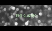 邦什么成语