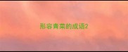 形容青菜的成语