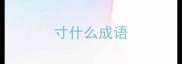 寸什么成语