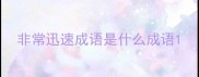 非常迅速成语是什么成语