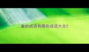 重的成语有哪些成语大全