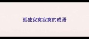 孤独寂寞寂寞的成语