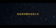肋成语有哪些成语大全
