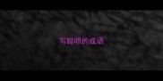 写聪明的成语