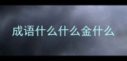 成语什么什么金什么