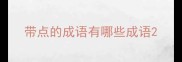 带点的成语有哪些成语