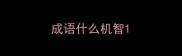 成语什么机智