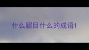 什么眉目什么的成语
