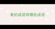 毫的成语有哪些成语