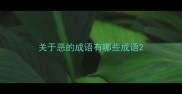 关于恶的成语有哪些成语
